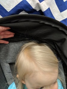 MVIMG_20200120_123707